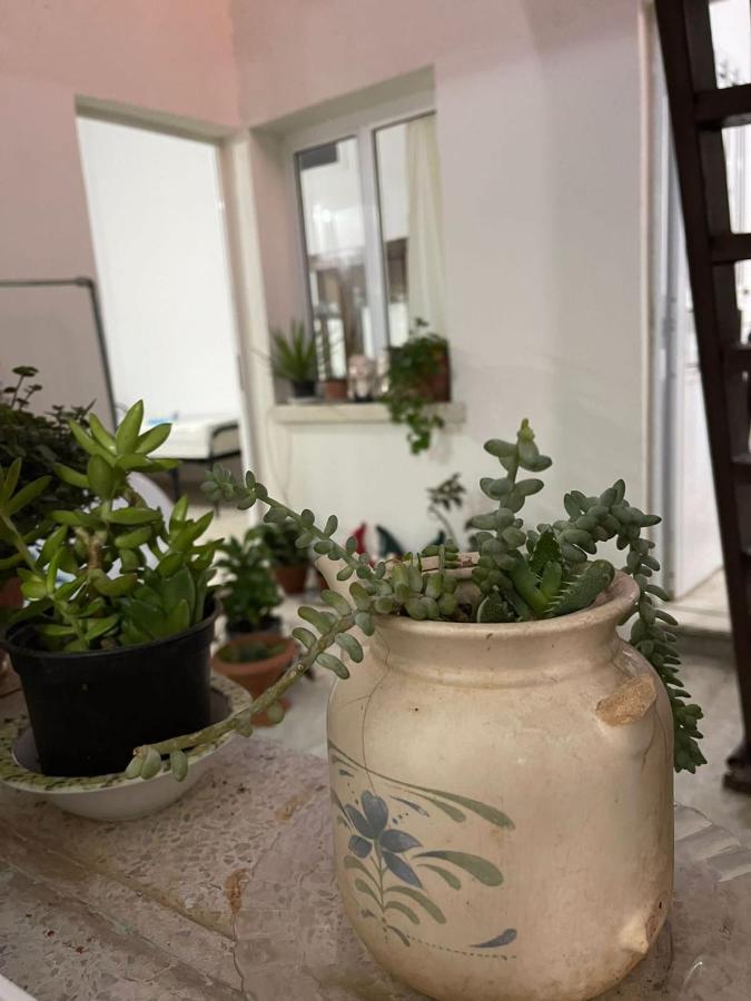 Grandmother'S House Фамагуста Екстериор снимка